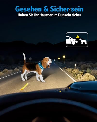 Brifit Leuchthalsband Hund Aufladbar mit 14 Lichtmodi, LED Halsband Hund Leuchtend Wasserdichtes, Silikonmaterial lässt Sich Leicht Anpassen Hundehalsband, für Kleine Mittlere Hund - S 【30cm - 40cm】