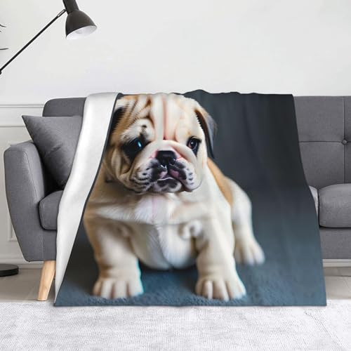 Couverture bouledogue de qualité supérieure en maille douce et chaude - 2