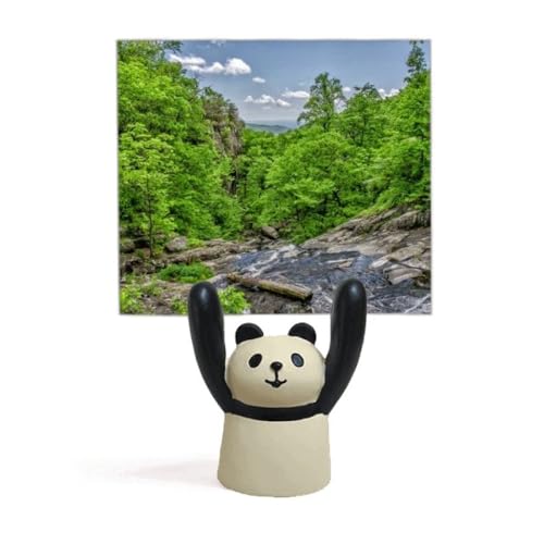 ストリームの緑の森林科学は自然の風景 付箋棚キャラクターパンダ棚飾り