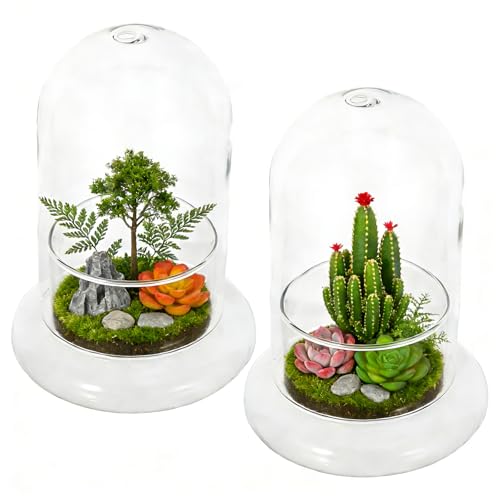 2pcs Cloche Glass Dome with Air Hole and Base, Clear Glass Terrarium Plants Bell Jar Humidity Dome for Smallplants, Home Indoor Tabletop Decoration (No Plants)