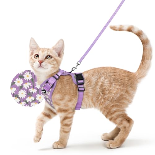 Image of rabbitgoo Cat Harness and Leash Set, Escape Proof Vest, Purr-ple Daisy | Soft Breathable Mesh, Easy Adjustable Fit, Snap Buckles, Sturdy Clip, Reflective Strips, for Average Cats Walks, S