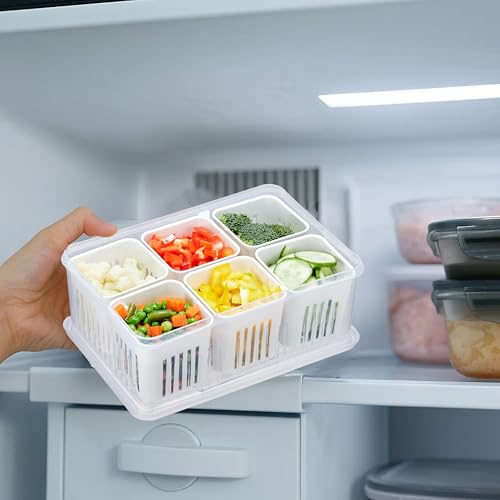 Image of Amazon Brand - Solimo Plastic Fridge Containers Set | 6-Grid Airtight Refrigerator Storage Boxes with Lids | Freezer & Kitchen Organizer (Pack of 2, White)