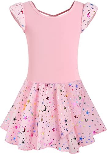 Danshow Ballet Leotards For Girls Dance Skirted Leotard Kids Ballet Tutu Dress Toddler Shiny Ruffle Sleeve Dancewear(40431-08Q-M) #TOP1