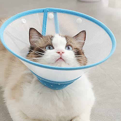 Vivifying Haustier Halskrause, Verstellbar von 12-14,5 cm Leichtgewicht Schutzkragen für Welpen, Kleine Hunde und Katzen (Blau-S)