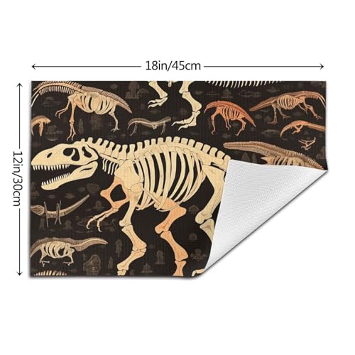Sets de table motif squelette de dinosaure en maille PVC durable et robuste
