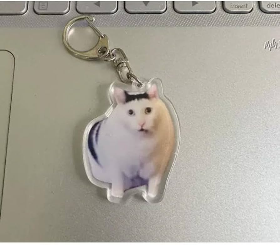 猫ミーム はぁ？っていう猫 アクリルキーホルダー コンプリートかも Amazon.co.jp: 猫ミーム はぁ？っていう猫 アクリルキーホルダー