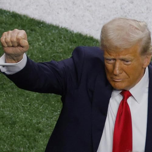 Couverture de Navidi &uuml;ber Trump: Was ist sein Endgame?