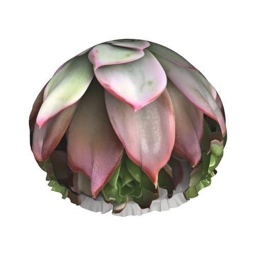 A {^jJ V[Lbv ėp\ Lk oXLbv h C wAnbg p jp Xp T ^ V[ {lbg w  wALbv OwAp O҂