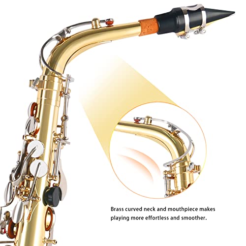 image for EASTROCK Alto Saxophone E Flat Antique Finished Sax Full Kit for Stude