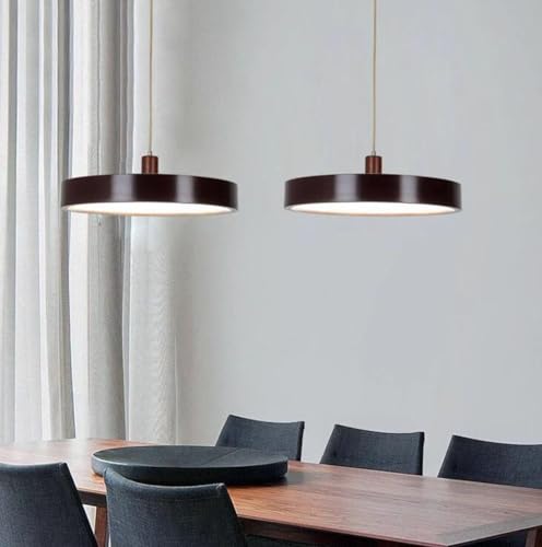 Suspension LED en bois noble au design minimaliste moderne pour salon et chambre - 4