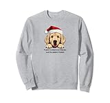 Photo Gallery merry xmas golden retriever babbo natale "furry" auguri di natale felpa Photo Gallery merry xmas golden retriever babbo natale "furry" auguri di natale felpa