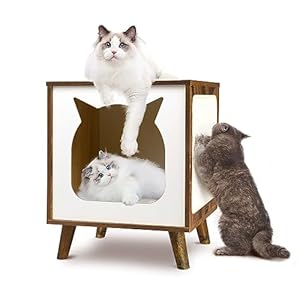 NeoCloud Cuccia per gatti in legno per interni, tiragraffi a forma di TV, mobile per gatti, tavolino da notte, marrone