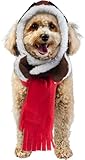 Rubies Aviator Pet Hat & Scarf Set for Dogs or Cats, S/M