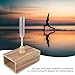 Steel Singing Tuning Set Portable Tuning Fork Wooden Resonator Practical Pure Tranquility Acoustic Tune with Rubber Hammer for Sound