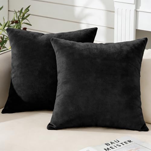 Soifox Pack of 2 Velvet Cushion Covers Black Decorative Square Throw Pillow Covers Pillowcases 40x40 cm 16x16 Inch Cushion Case Home Decor Pillow Cases for Couch Sofa Living Room Bed