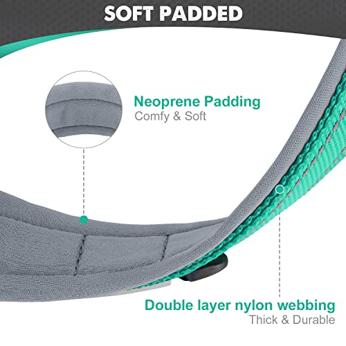 Joytale 11-14.5 Inches Dog Collar And 4Ft Leash, Reflective Heavy Duty Neoprene Padded Pet Collars And Leashes For Small Dogs #TOP4