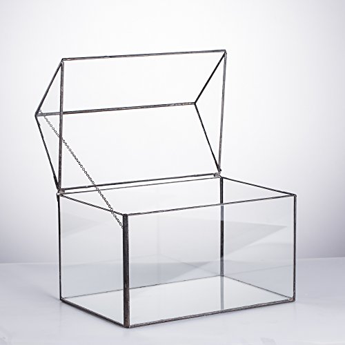 Ncyp Glass Geometric Terrarium Container Tabletop Large Close House Shape Box Planter For Succulent Plant Moss Fern With Swing Lid Black Decor 8.6 X 7.25 X 6 Inches, No Plants Included #TOP4