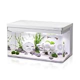 Clairnara Harmony 8 Gallon All-in-One Aquarium Kit, Award-Winning Fish Tank with Lid, Integrated Filtration, LED Light, Low-Iron Glass...