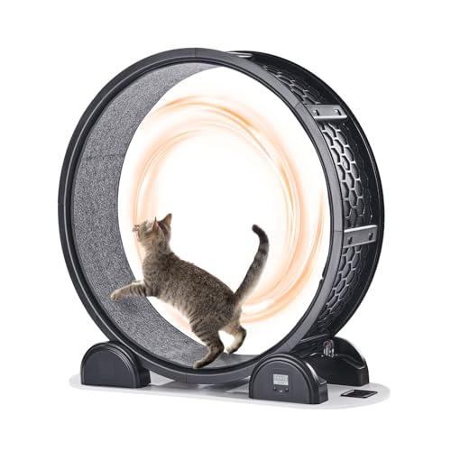 VEVOR Ruota per Esercizi per Gatti, Ruota per Correre con Freno e Pista in Moquette, Contapassi, Tapis Roulant Silenzioso per Gatti Sotto 13,6 kg, Attrezzo Fitness per Animali Domestici, 1038 mm Nero