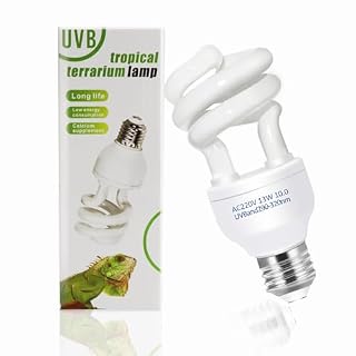 Caldarax ampoule UVB 10.0 compacte 13 W E27 pour reptiles