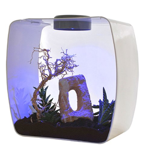 Life Box Terrarium Design en verre haut de gamme pour l'habitat - 5