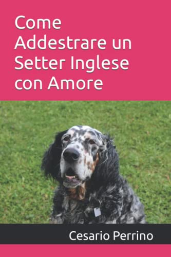  Come Addestrare un Setter Inglese con Amore: Se amate il vostro Setter Inglese, questo è il metodo perfetto per voi, e nessun professionista può farlo meglio di voi.