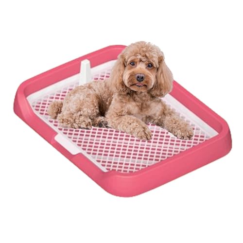 4 Cartelli "Vietato Fare Pipì Ai Cani" Per Giardino - 30x15 Cm - PVC Resistente - Doppia Faccia - Ideale Per Prato, Parco E Aree Giochi