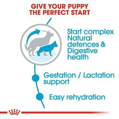 Royal Canin Katzenfutter Starter Puppy Maxi 15 kg