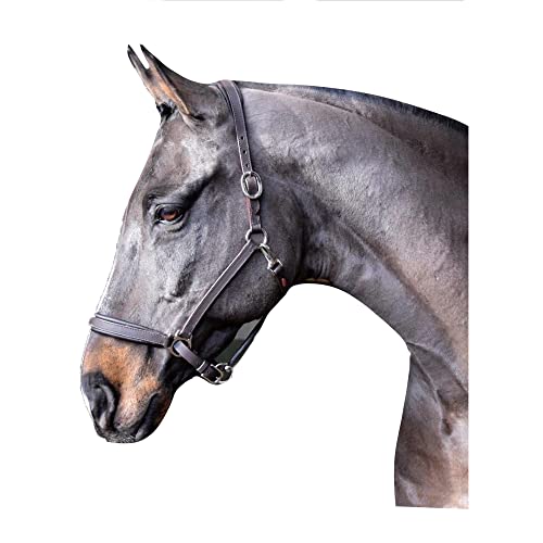 John Whitaker Ready To Ride Headcollar Brown: extra full