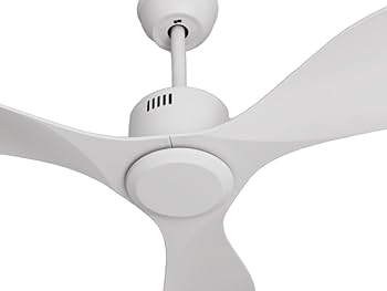 Goozegg 48-inch Ceiling Fan with No Lights Remote Control