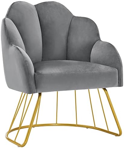 BarberPub Living Room Chair, Manicure Chair for Technician, Modern Home Chair, Makeup Beauty Vanity Chair, Nail Salon Chair for Manicurist 3510 (Grey)