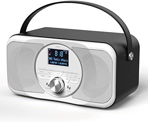 i-box DAB Radio Portable, DAB/DAB Plus Radio, FM Radio, Portable ...