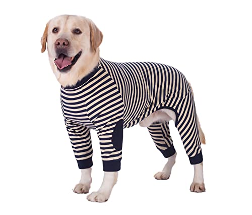 BT Bear Large Dog Clothes