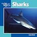Sharks (Our Wild World)