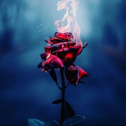 Couverture de The Trees Have Eyes podcast