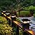 TW SHINE 6 Pack Solar Outdoor Fence Post Lights, 2 Modes Post Cap Lights Waterproof Warm White/Cool White for Yard, Garden, Porch, Patio Decor, for 4x4 5x5 6x6 Wood Posts