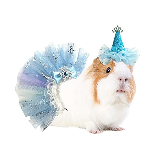 Shurung small animal birthday princess costume for rabbit guinea pig- guinea pig crown hat tutu skirt bunny princess hat bunny bandana halloween small pet outfit for guinea pig bunny hedgehog