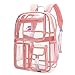 LISINUO Clear Backpack, Heavy Duty Transparent Bag Stadium Approved with Keychain (Pink)