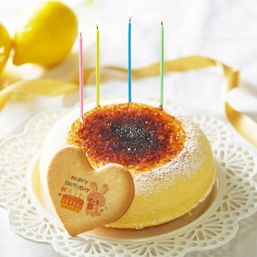 ṼXC[c Xt `[YP[L 15cm 1  a ]P[L 