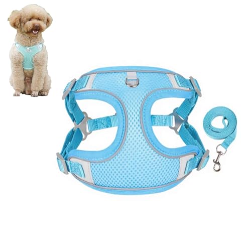 犬用 ハーネス 首輪 リード付 犬 ハーネス リードセット 小型犬中型犬訓練用 服 メッシュ素材 反射材付き 快適ウエア 牽引紐 耐久性 通気性 調節可能 お散歩 着脱簡単 引っ張り防止 散歩夏用 ペット用品 (青,M)
