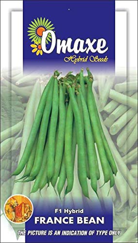 France Beans HY-Selection Vegetable seeds Kitchen Garden Packet by Garden Care