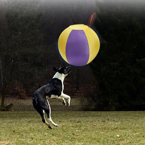 Jeté de jeu gonflable pour chien interactif et ultra résistant - 3