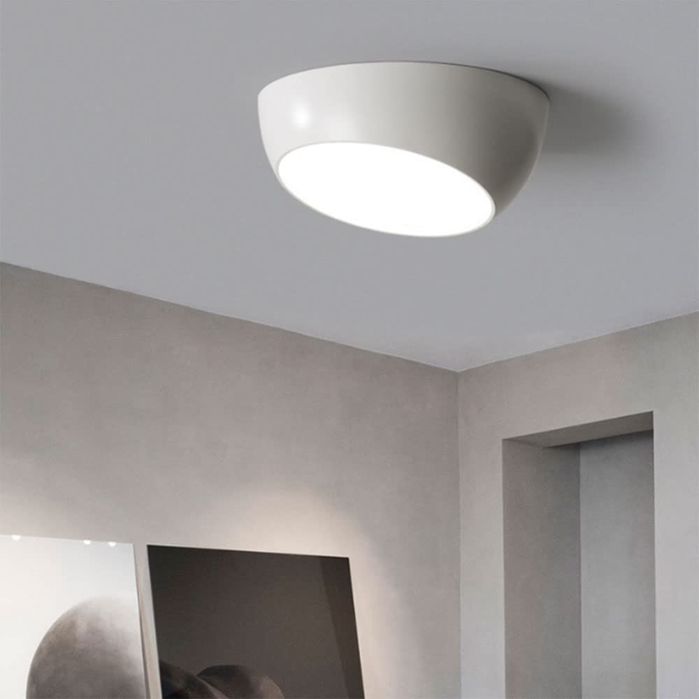 SYAXVOM Light Indoor Lamp Home Interior Bedroom Corridor Aisle Chandelier Living Room Decoration Semi Flush Mount Ceiling Lights Interesting Life/White 40Cm/