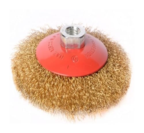 x`OC_[p4C`XeXX`[C[zC[uV - AOOC_[pN[jOc[ M14 otzC[