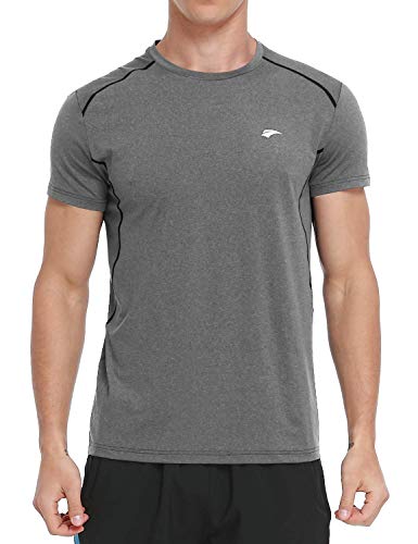 Men's Dry Fit Short Sleeve T-Shirt Moisture Wicking Gym Running Workout Athletic Shirts (Grey,L)