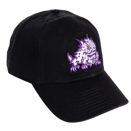 Desert Cactus TCU Texas Christian University Baseball Hat Horned Frogs Brimmed Embroidered Hats Cap Adjustable Cloth Strap Adult (Style D1) Black