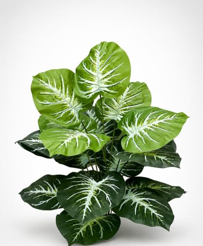 Image of Cocco.BUA Artificial Plant with Black Pot, 18 Leaves, 76 CM (2.5 Feet) (Caladium Plant)