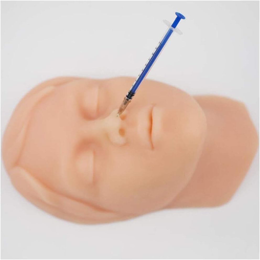 Modello di formazione dell'iniezione di silicone per infermieri e studenti di medicina, testa pratica realistica, forniture didattiche mediche