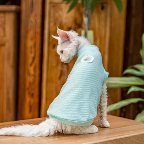 Débardeur sans Manches pour Chaton sans Poils Protège Peau Chat Sphynx - 5