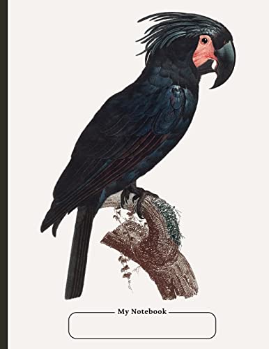 Cornell Notebook, College Ruled, 100 Pages, 8.5 X 11, With Table Of Contents